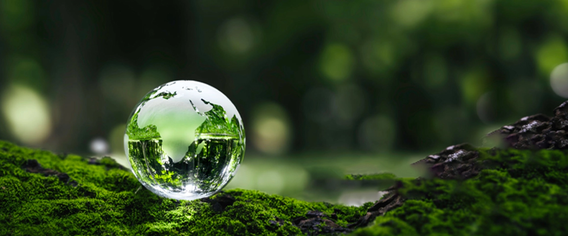 පරිසරයේ මිත් රශීලී සම්බන්ධයක් තිබෙනවාද?