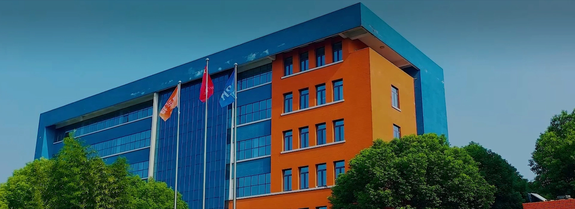 කම්පැනිය