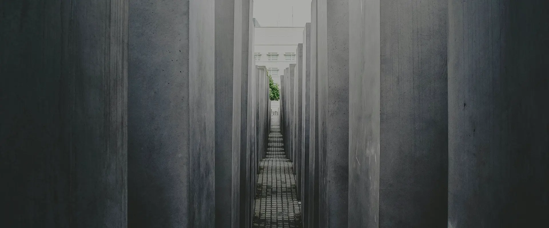 ජලය අඩු කරන වර්ග මත්පැත්ත හා මුළු මුල් මූලය අතර වෙනස විය හැක්කේ කෙසේද?