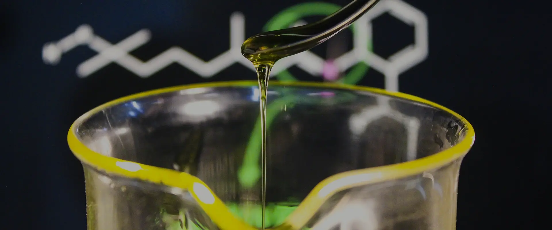 ඔබට අවශ් ය වන්නේ ක් රියාකාරකම් තෝරාගන්නේ කෙසේද?